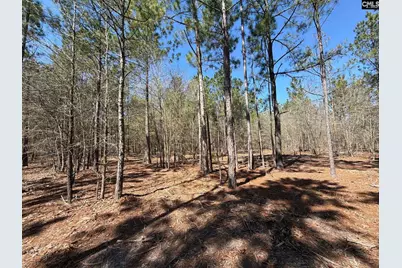 Bhl 13 Boise Cascade Road Bhl 13, Bethune, SC 29009 - Photo 12