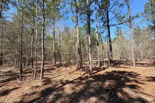 Bhl 13 Boise Cascade Road Bhl 13, Bethune, SC 29009 - Photo 12