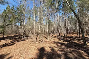 Bhl 13 Boise Cascade Road Bhl 13, Bethune, SC 29009 - Photo 1