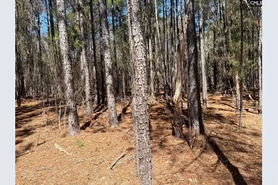 Bhl 13 Boise Cascade Road Bhl 13, Bethune, SC 29009 - Photo 18