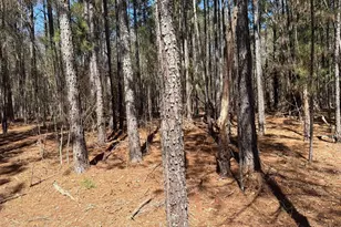 Bhl 13 Boise Cascade Road Bhl 13, Bethune, SC 29009 - Photo 18