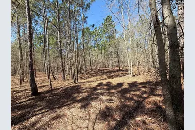 Bhl 13 Boise Cascade Road Bhl 13, Bethune, SC 29009 - Photo 8