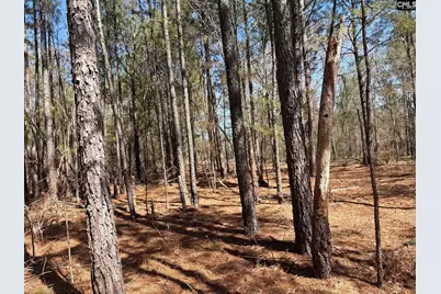 Bhl 13 Boise Cascade Road Bhl 13, Bethune, SC 29009 - Photo 20