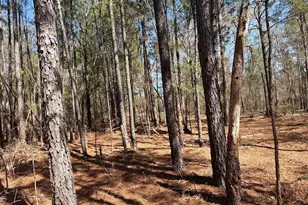 Bhl 13 Boise Cascade Road Bhl 13, Bethune, SC 29009 - Photo 20