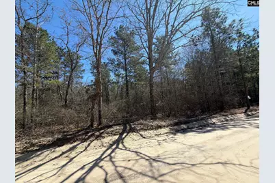 Bhl 13 Boise Cascade Road Bhl 13, Bethune, SC 29009 - Photo 28