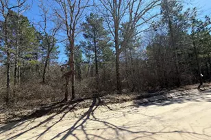 Bhl 13 Boise Cascade Road Bhl 13, Bethune, SC 29009 - Photo 28