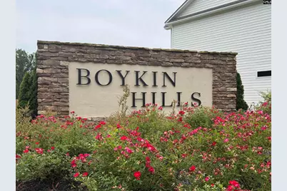 614 Griffon Drive, Chapin, SC 29036 - Photo 34