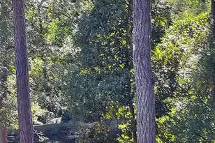 418 Hawkeye Ct, Columbia, SC 29206 - Photo 32