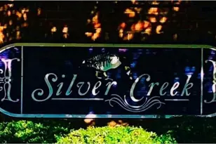 145 Silvercreek Dr, Lexington, SC 29072 - Photo 40