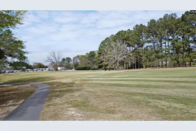 418 Gin Branch Circle, Leesville, SC 29070 - Photo 46