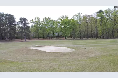 418 Gin Branch Circle, Leesville, SC 29070 - Photo 54