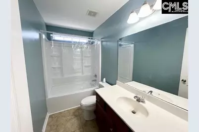 118 Walkbridge Way, Chapin, SC 29036 - Photo 24