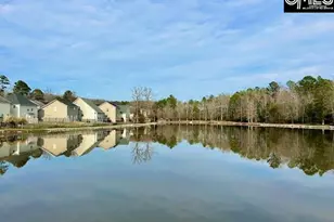 118 Walkbridge Way, Chapin, SC 29036 - Photo 36