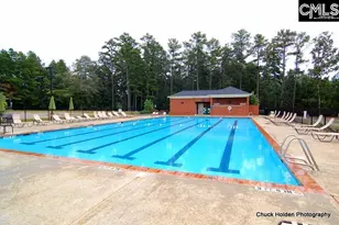 508 Links Pointe Ct, Chapin, SC 29036 - Photo 76