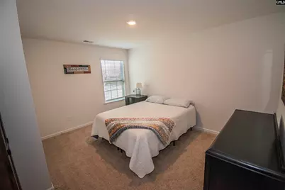 308 Throne Court, Chapin, SC 29036 - Photo 20
