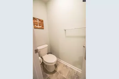308 Throne Court, Chapin, SC 29036 - Photo 44