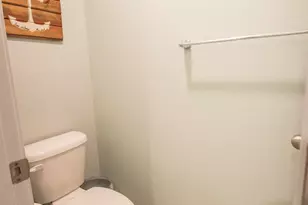 308 Throne Ct, Chapin, SC 29036 - Photo 44