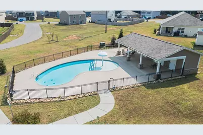 308 Throne Court, Chapin, SC 29036 - Photo 68