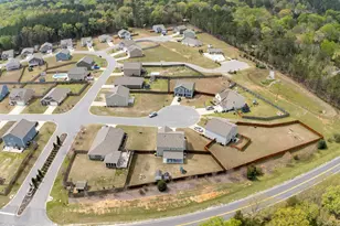 308 Throne Ct, Chapin, SC 29036 - Photo 64