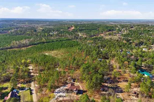 263 Sugar Loaf Rd, Gaston, SC 29053 - Photo 26