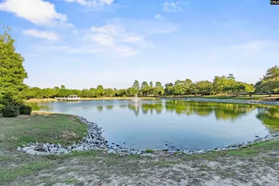 115 Hemphill Road, Lexington, SC 29072 - Photo 38