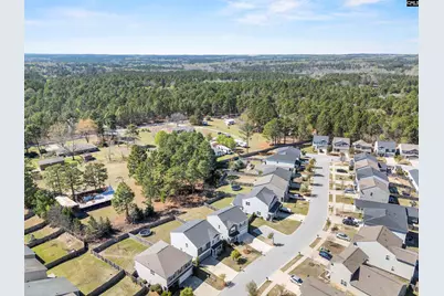 115 Hemphill Road, Lexington, SC 29072 - Photo 42