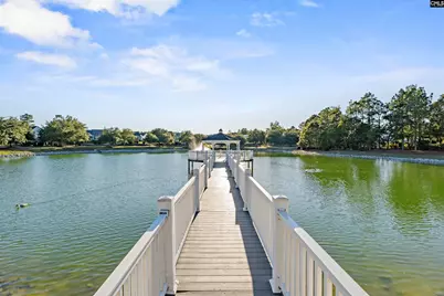 115 Hemphill Road, Lexington, SC 29072 - Photo 36