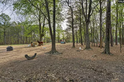 1313 Qualls Rd, Ridgeway, SC 29130 - Photo 28