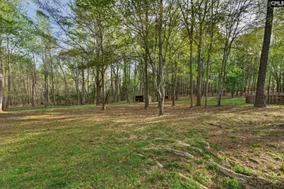 1313 Qualls Rd, Ridgeway, SC 29130 - Photo 24