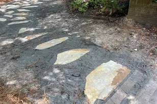 2204 Bee Ridge Rd, Columbia, SC 29223 - Photo 50