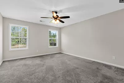 703 Mayflower Trail, Chapin, SC 29036 - Photo 20