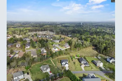 703 Mayflower Trail, Chapin, SC 29036 - Photo 42