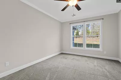 703 Mayflower Trail, Chapin, SC 29036 - Photo 32