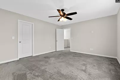703 Mayflower Trail, Chapin, SC 29036 - Photo 30