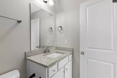 703 Mayflower Trail, Chapin, SC 29036 - Photo 36