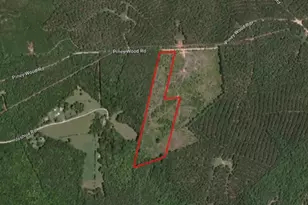 0 Piney Wood Rd, Saluda, SC 29138 - Photo 1