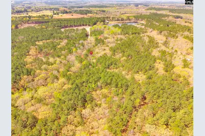 Springvale Drive, Bishopville, SC 29010 - Photo 6