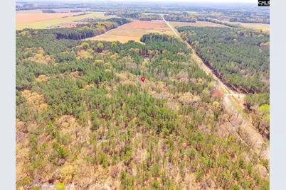Springvale Drive, Bishopville, SC 29010 - Photo 4