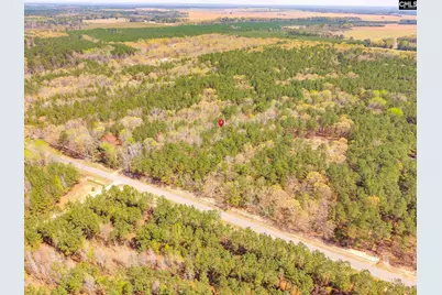 Springvale Drive, Bishopville, SC 29010 - Photo 8