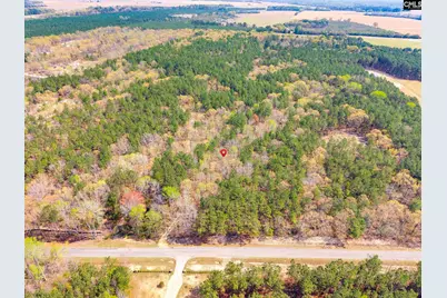 Springvale Drive, Bishopville, SC 29010 - Photo 2