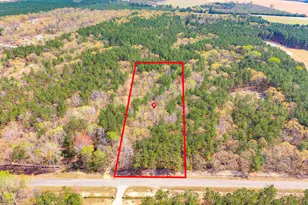 Springvale Dr, Bishopville, SC 29010 - Photo 1