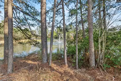 284 October Glory Drive, Blythewood, SC 29016 - Photo 6