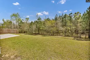 169 Prismatic Wy, Lexington, SC 29072 - Photo 46