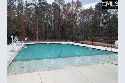 575 Griffon Drive, Chapin, SC 29036 - Photo 40