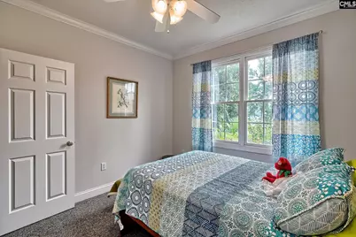 117 Peninsula Court, Prosperity, SC 29127 - Photo 16