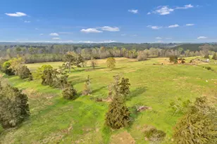 8347 St Lukes Church Rd, Newberry, SC 29108 - Photo 14