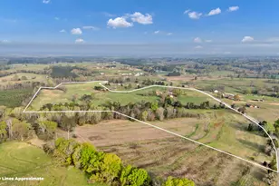 8347 St Lukes Church Rd, Newberry, SC 29108 - Photo 4