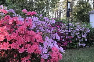 2411 Springdale Dr, Camden, SC 29020 - Photo 96