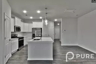 217 Sunny Hl Dr, Blythewood, SC 29016 - Photo 12