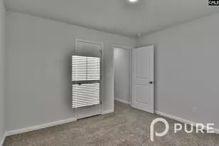 217 Sunny Hl Dr, Blythewood, SC 29016 - Photo 32